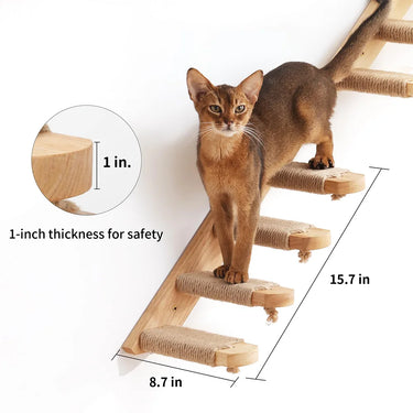 A brown cat climbs KittyNook Cat Co.'s Luxurious Wall-Mounted Cat Paradise; premium safety and labeled dimensions.